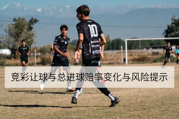 竞彩让球与总进球赔率变化与风险提示
