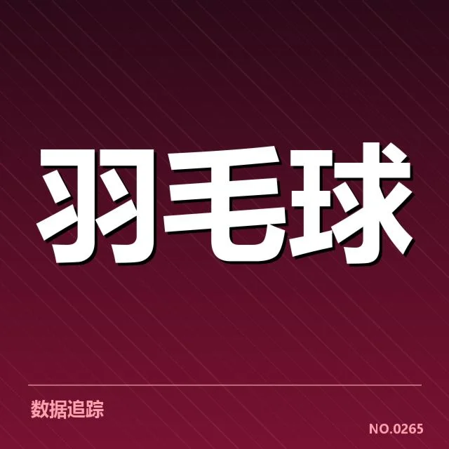 丹麦羽毛球队多拍相持：技战术运用与比赛节奏考量